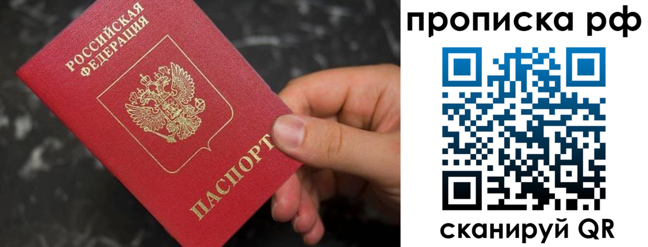 прописка 2025 в Новомосковске